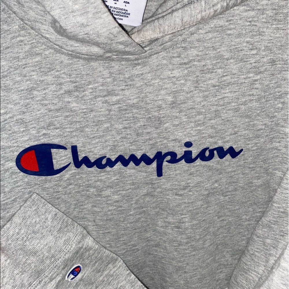 Champion Hoodie
